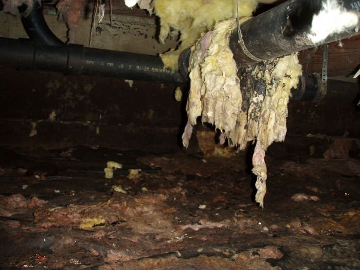 Ruined crawl space insulation
