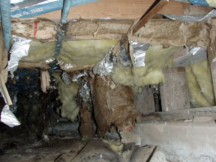 Failing, moldy crawl space insulation