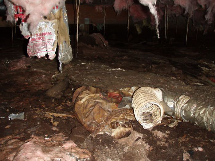 moldy, uninsulated crawl space