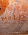 The word mold written with a finger on a moldy wood wall in Barrie