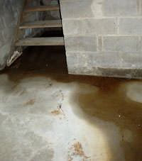 Flooding floor cracks by a hatchway door in Alliston